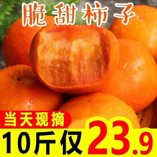 昆明保山柿子新鲜脆柿子水果硬柿子带箱10斤包邮应季脆甜柿子火晶