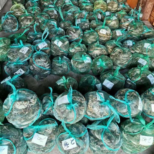 建湖县兴化大闸蟹 螃蟹的品质可以保证的