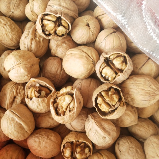 中牟县新疆核桃   新疆薄皮核桃