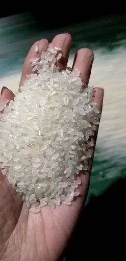 富裕县长粒香大米 一等品 晚稻 粳米