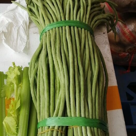 海口 康嘉金盛长豆角