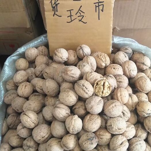 西安香玲核桃 陕西小香玲