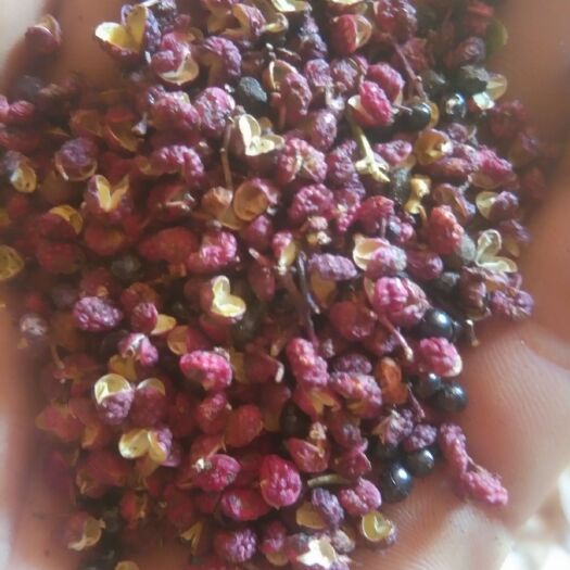 丹巴县 花椒