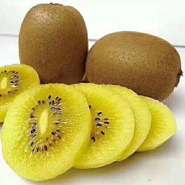 华优猕猴桃一箱55元,5斤装包邮