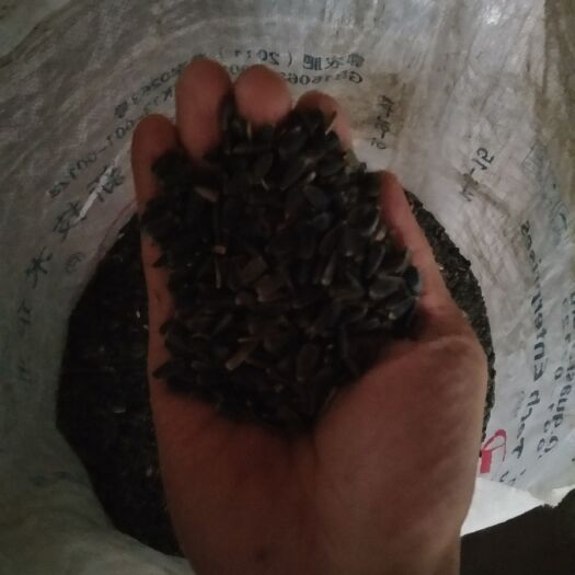 靖宇县葵花仁 散装