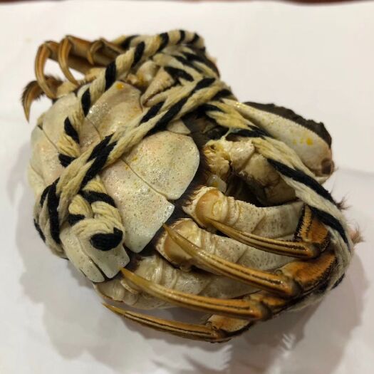 武汉 大闸蟹