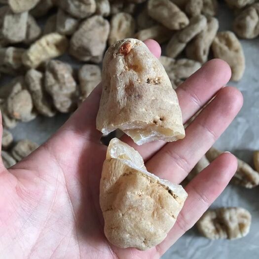 彝良县 小草坝干天麻一级10个一斤