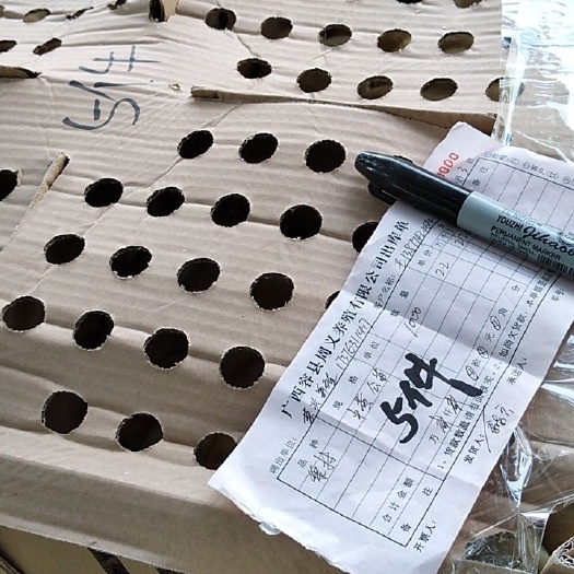 容县三黄鸡苗 黎村三黄公苗