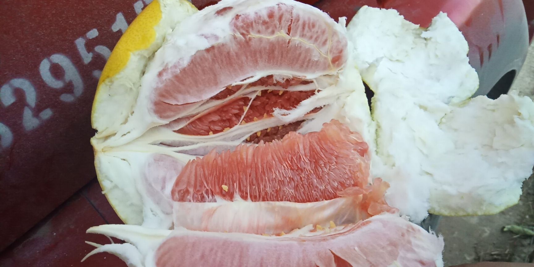 红心柚  套袋红柚