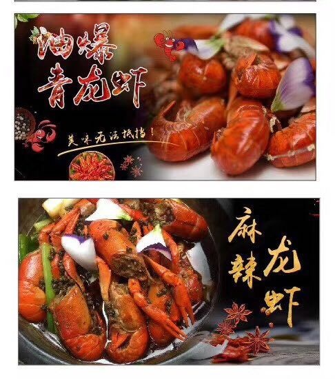 珠海澳洲淡水龙虾 澳洲淡水青龙仔