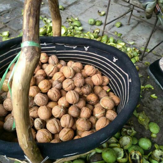 翼城县 绿色手工剥皮干核桃