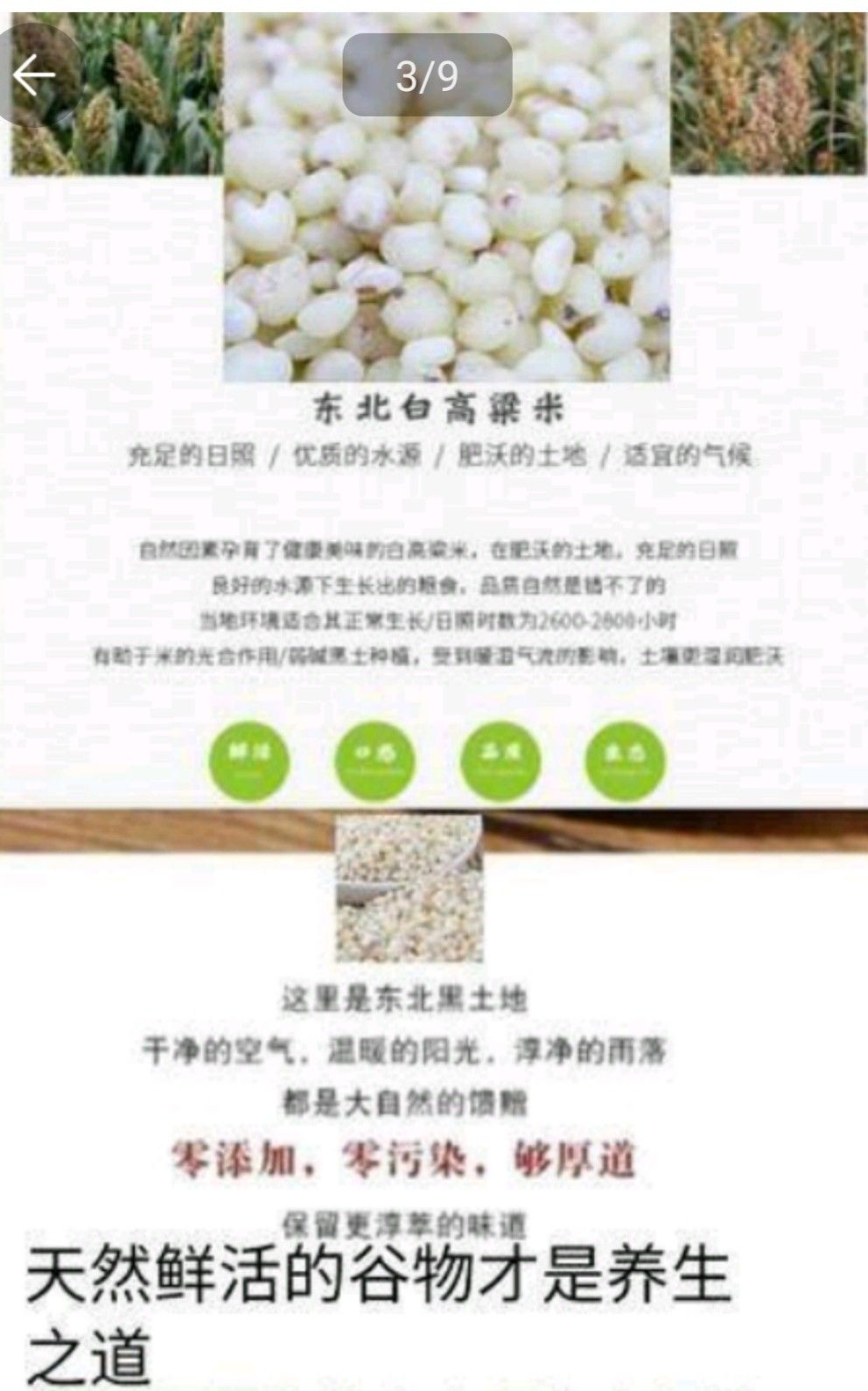 高粱米去壳白高粱红高粱鲜活好谷物5斤一袋包邮