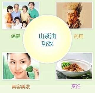 永泰县 福建省福州市永泰县东洋乡山茶油