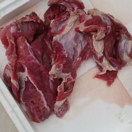 宿迁 国产冷冻牛肉牛前牛后牛腱子肉批发