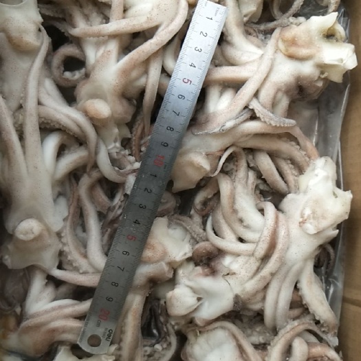 威海鱿鱼  阿鱿机洗头