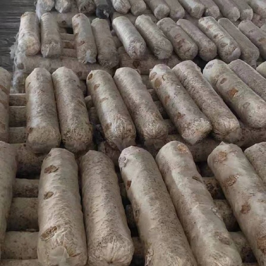 北京菌棒（不含菌种）  香菇菌棒 各类菌棒预订 周年供应 价格优惠 全年生产不断货