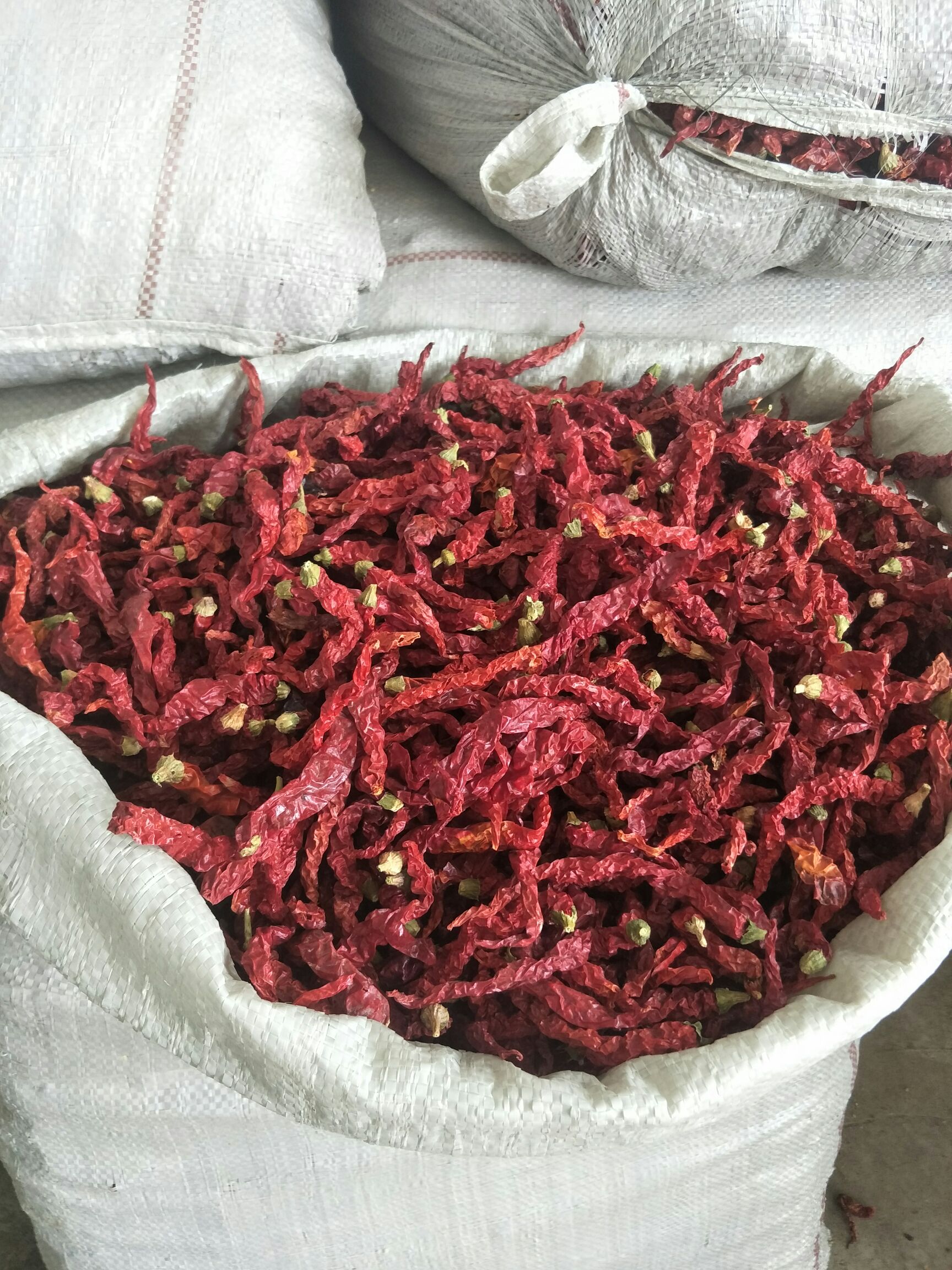 干线椒  线椒干辣椒 邹皮 香辣 秦椒
