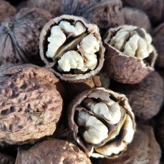 昆明漾濞核桃 云南漾濞2019新货薄皮桐子果