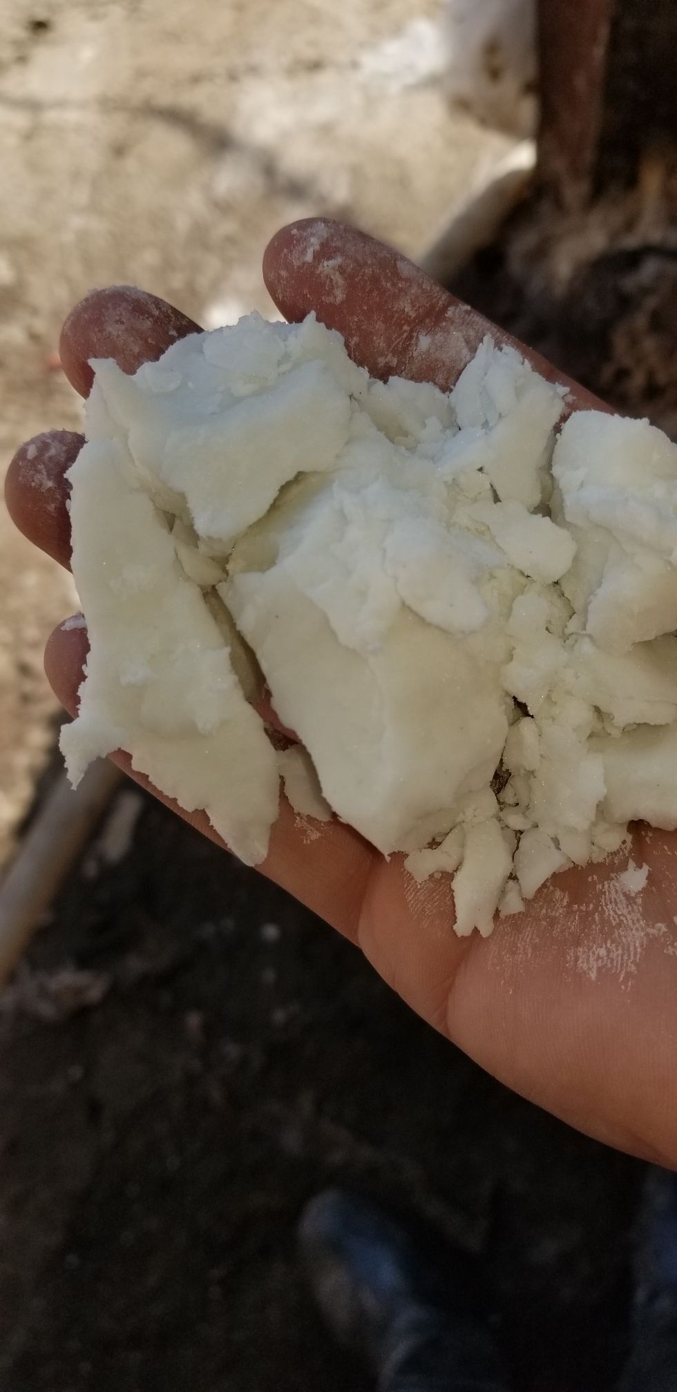  大量出售纯马铃薯湿淀粉