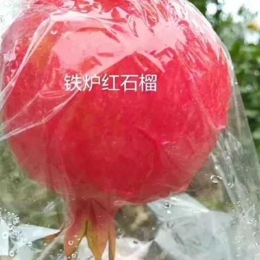 西安 临潼新品铁炉红软籽石榴，籽大核小，全国包邮！