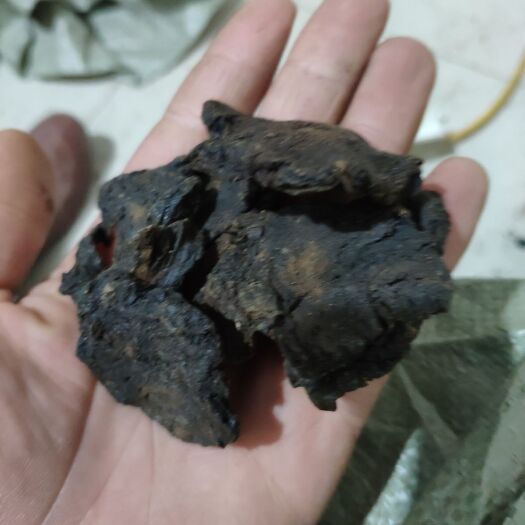 鄄城县南大黄  制大黄 炙大黄 马蹄大黄炮制