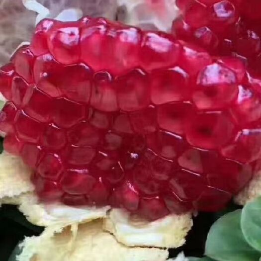 丽江 突尼斯软籽石榴，不用吐籽的石榴