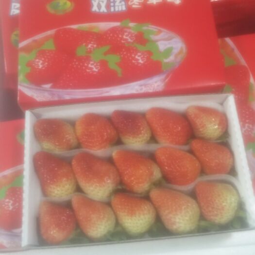 会泽县 会泽四季草莓，质量保证，大量批发！