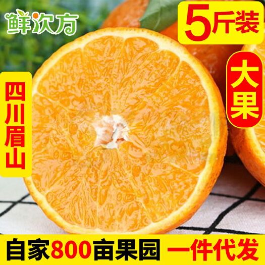 眉山爱媛38号柑桔 果冻橙现货当季