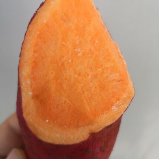 香河县沙地红薯 混装通货 红皮