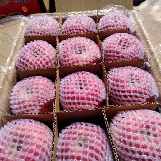 洛川县【热销】高次，红富士苹果现在冷库大量有货，可以视频看货