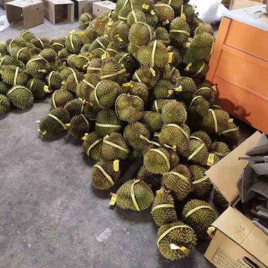 昆明 泰国金枕榴莲新鲜带壳水果现摘特产包邮2-9斤金枕头一件代发