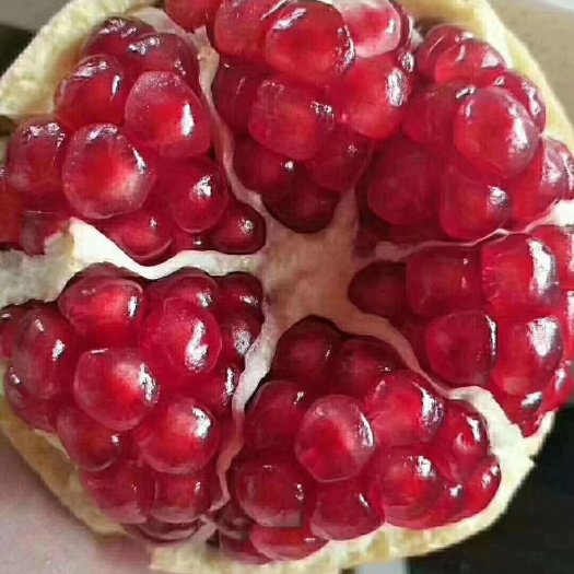 西安 临潼石榴