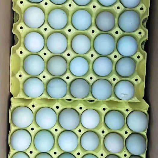 阜阳 精品绿壳鸡蛋