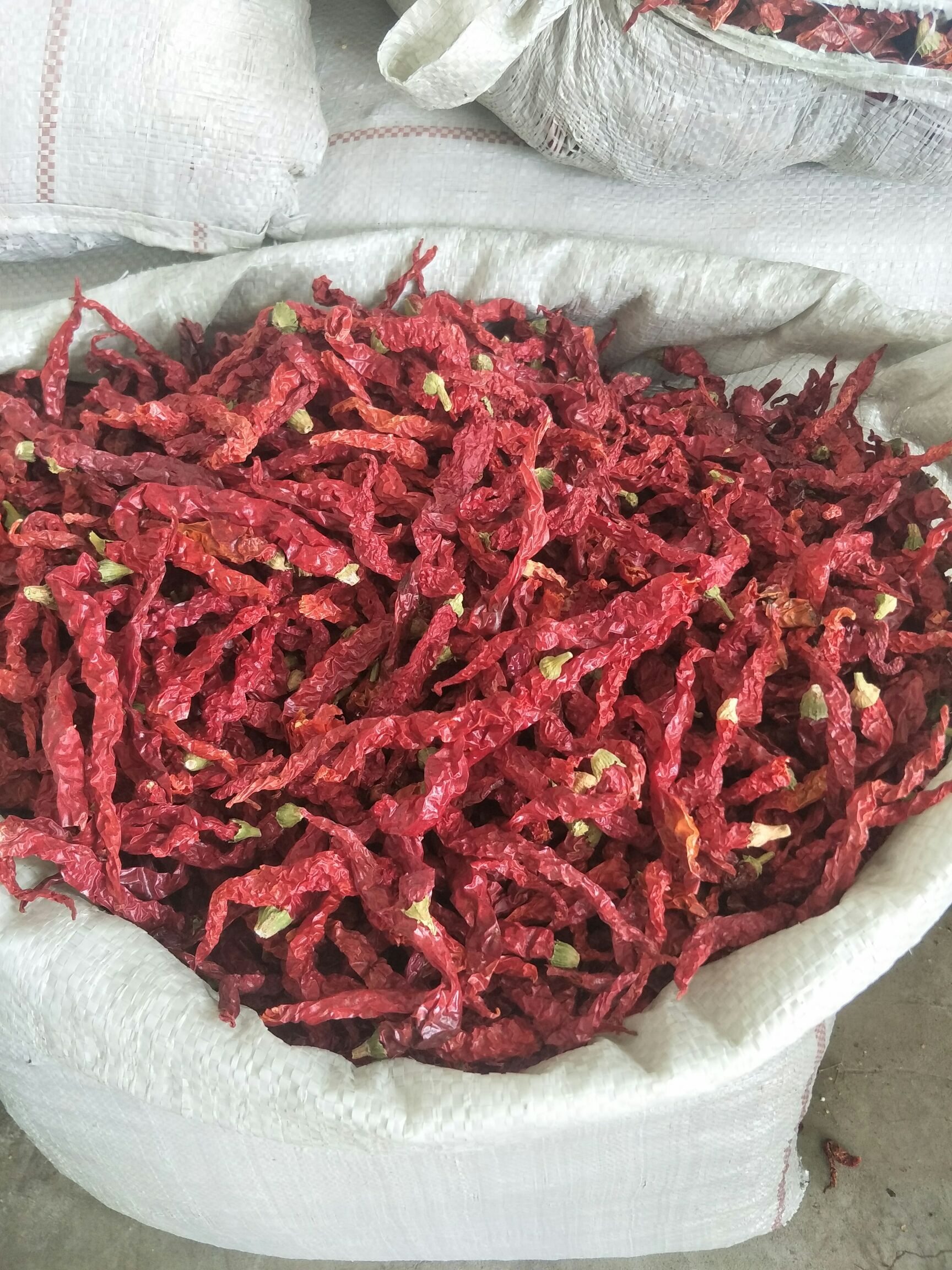 干线椒  线椒干辣椒 邹皮 香辣 秦椒