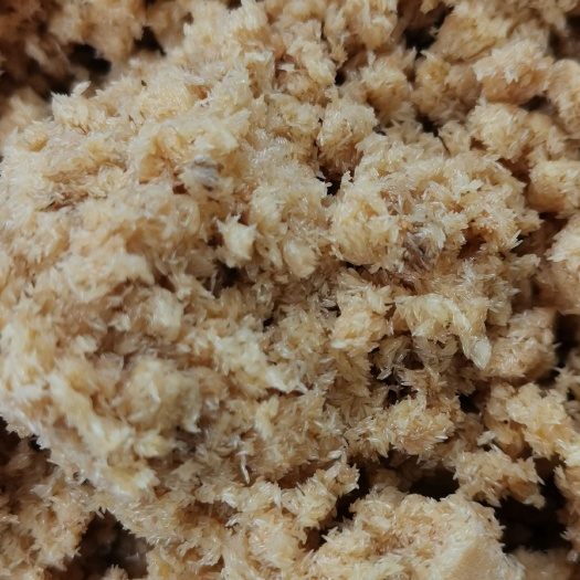 大邑县 黑水虻虫卵常年供应，提供技术支持