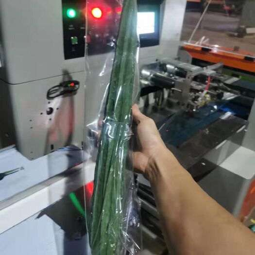 徐闻县 广东冬季丝瓜