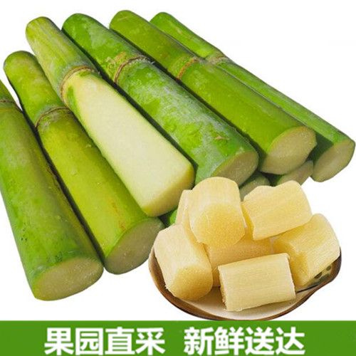  绿皮甘蔗青皮甘蔗陶山甘蔗果蔗雪蔗
