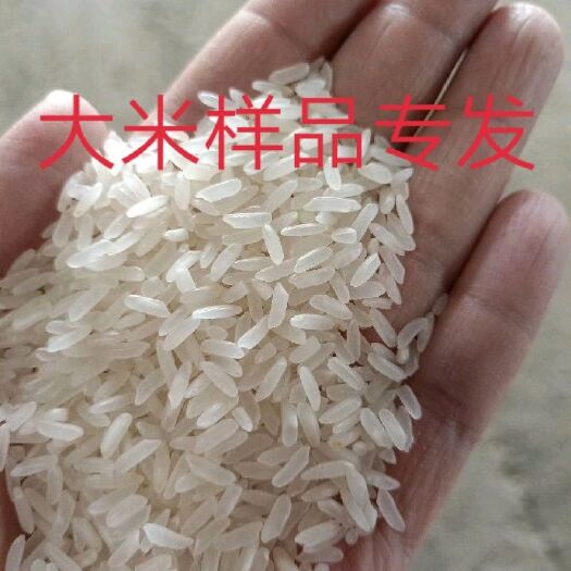 徐州 大米碎米 成品长粒香米 大碎酿酒碎米样品专拍链接全国包邮快