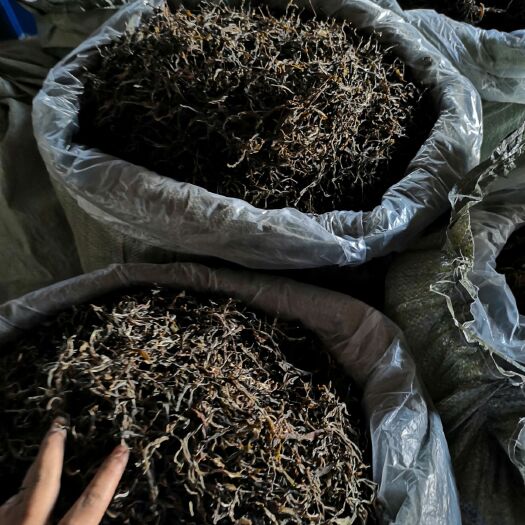 景洪市 云南普洱茶  勐海巴达章朗村  生态茶