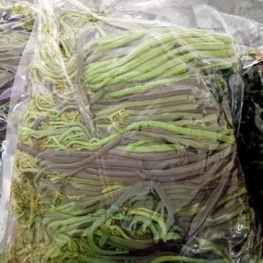 临江市厂家批发 蕨菜 清水蕨菜，天然 优质批发