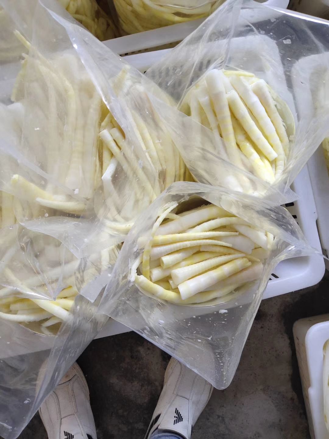 清水笋罐头 清水罗笋