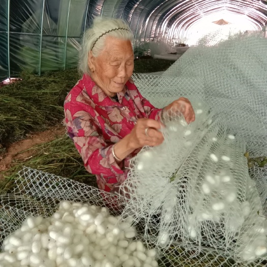 南召县 桑蚕丝绵被
