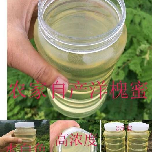 蒲城县 蜂蜜、洋槐蜜、枣花蜜、荞麦蜜、百花蜜、巢蜜、蜂胶、蜂王浆