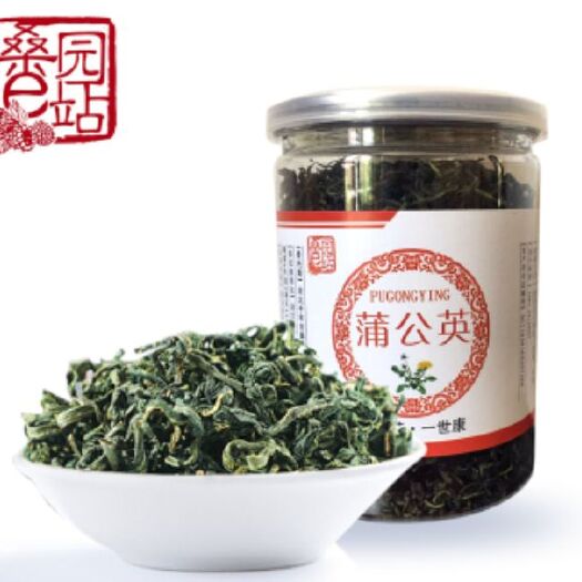 沧州 蒲公英茶，叶片鲜嫩，纯野生。