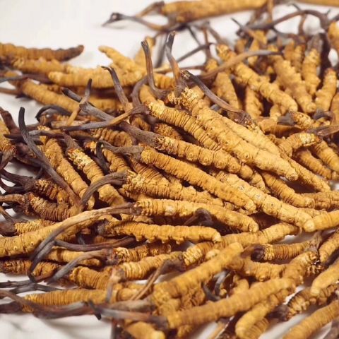 西宁2024年干草冬虫夏草西藏青藏特产虫草3根1克规格