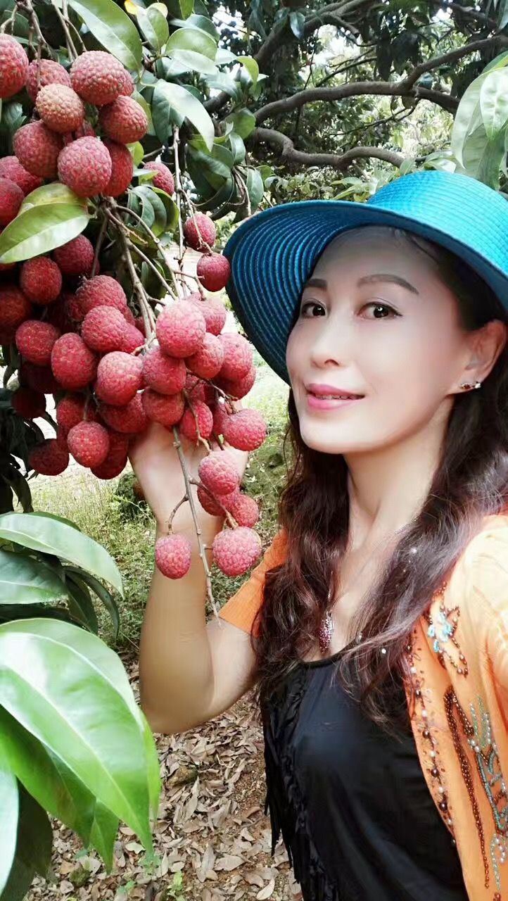  增城荔枝，桂味，糯米糍，挂绿，挂红荔枝