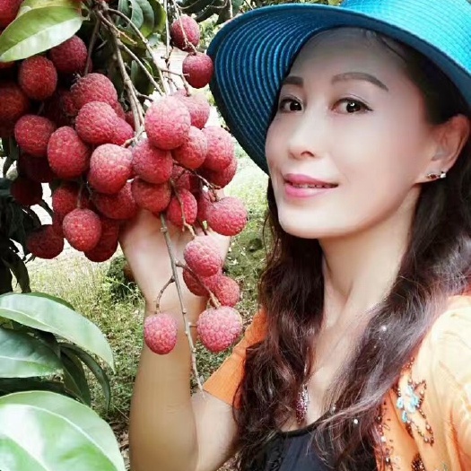 广州 增城荔枝，桂味，糯米糍，挂绿，挂红荔枝