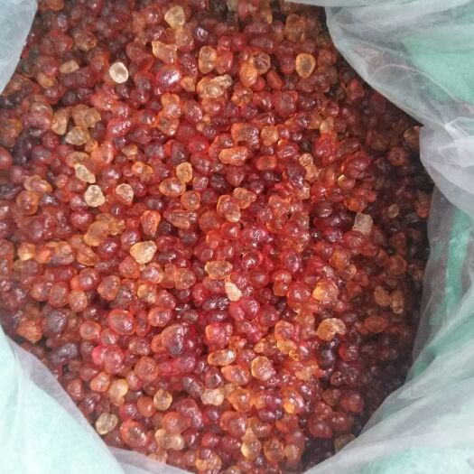广水市食用桃胶 0.4-0.8小粒子，无黑头