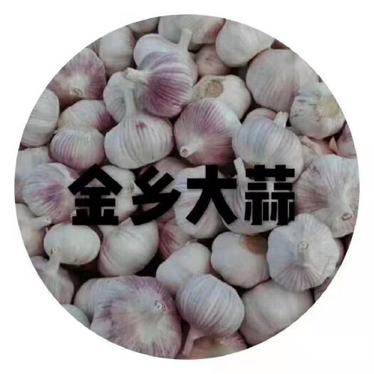 金乡县 库内各种规格混级大蒜  可按要求提供各种规格包装