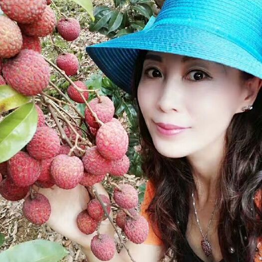 广州 桂味，糯米糍荔枝，石硖龙眼，储粮龙眼